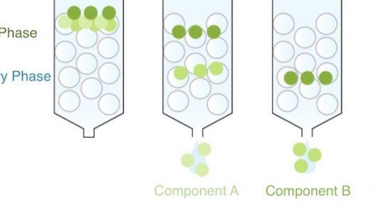 What is chromatography
