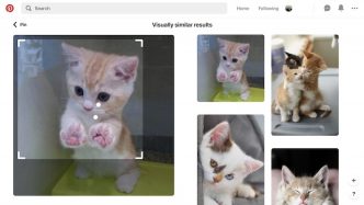 Pinterest Visual Search - reverse image search engines apps