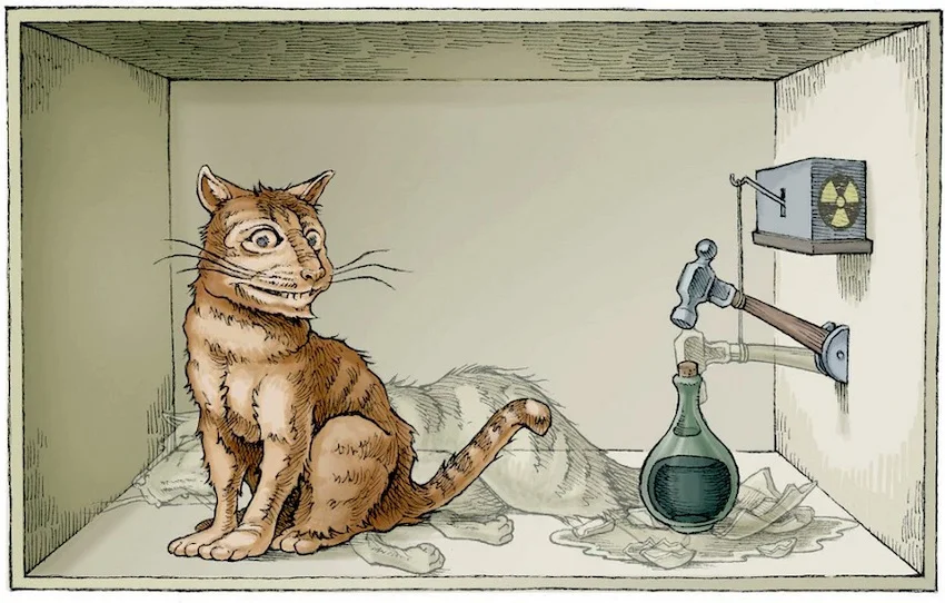 Schrödinger Cat States with 20 qubits