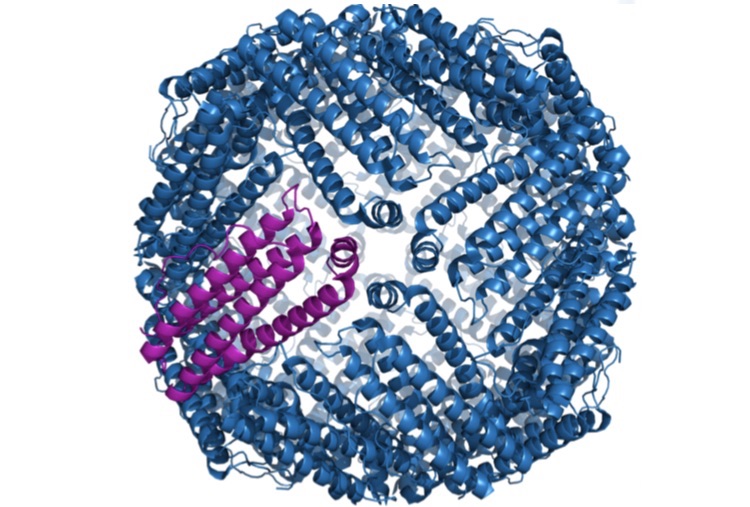 Single Molecule Magnets