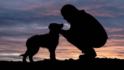 dog reduce risk of heart attack