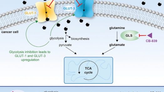 suppressing growth of cancer with glutor