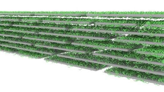Next Generation Materials from tree