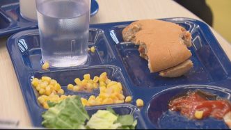 Schools waste tons of food