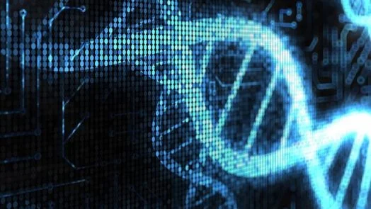 DNA computer calculate square roots