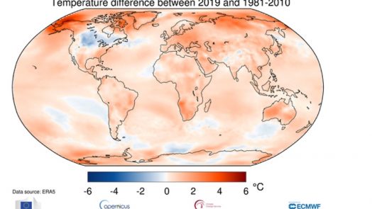 second warmest year