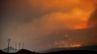 Wildfires damage ozone layer