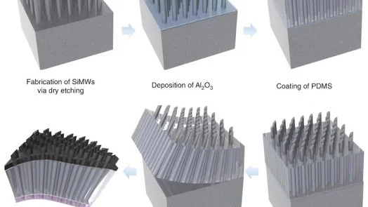 highly Efficient Transparent Solar Cells
