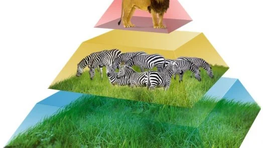 Energy Pyramid - main level with examples