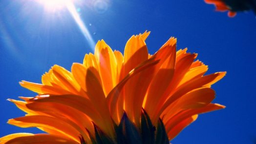 Radiant Energy - different types of energy