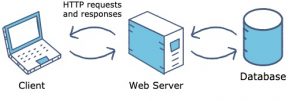 What Is A Server? 15 Different Types of Server And Their Uses - RankRed