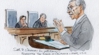 types of lawyers - Seth P. Waxman