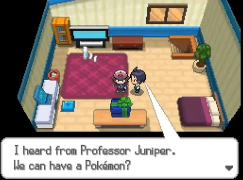 Pokemon Black and White