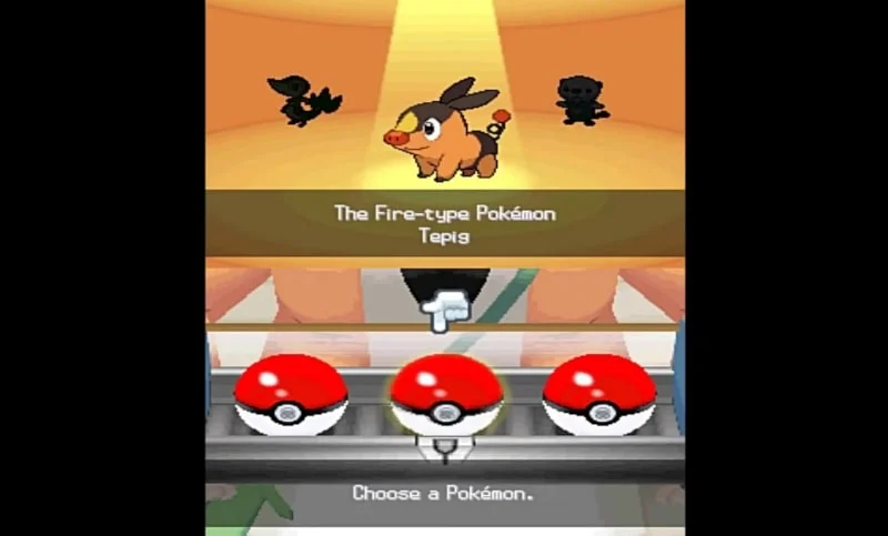 Pokemon White 2 Black 2