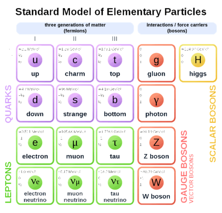 19 Smallest Things In The World - RankRed