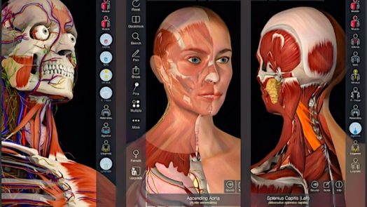 best anatomy apps - essential