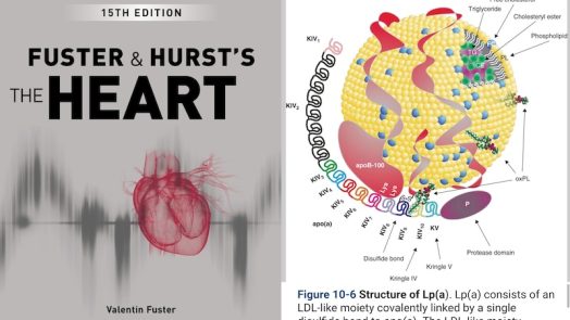 Most Expensive Android Apps ever - Fuster & Hurst's The Heart