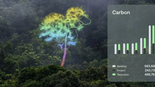 climate tech startups - Pachama