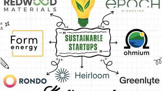Sustainable Startups to watch
