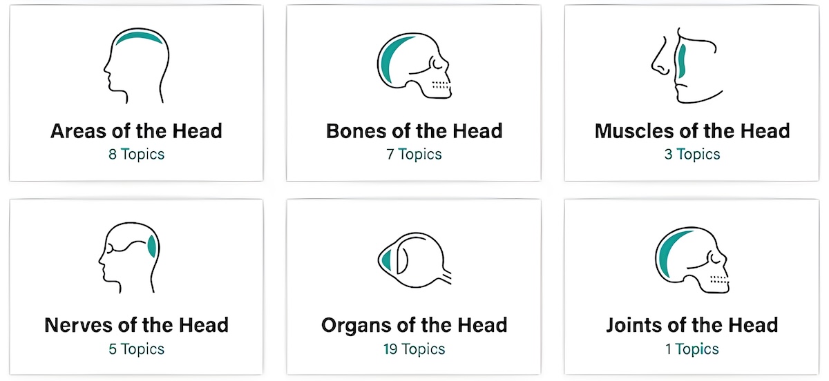 14 Best Anatomy Apps For Medical Students [In 2024] - RankRed