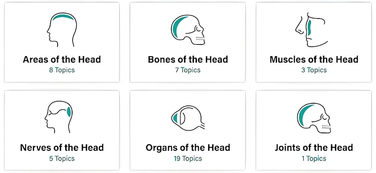 14 Best Anatomy Apps For Medical Students [In 2024] - RankRed